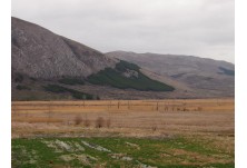 Чепън и Драгоманско блато, автор: Камелия Виденова