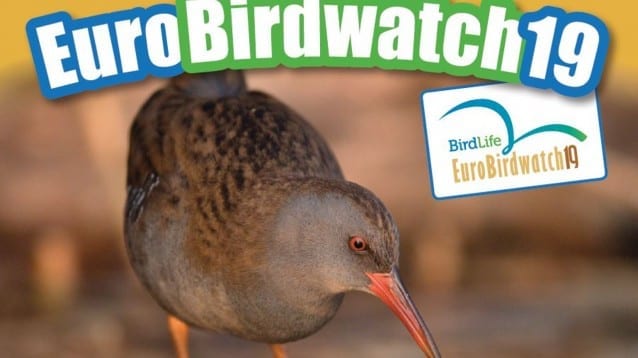 EuroBirdwatch