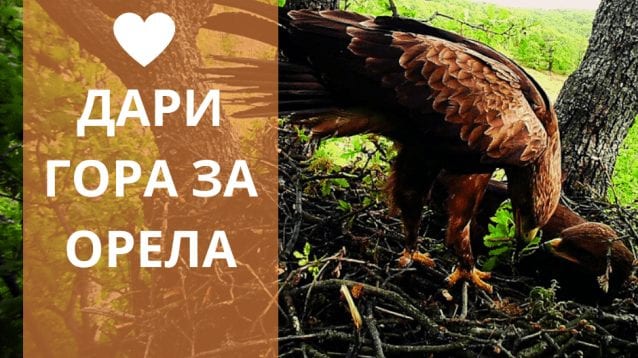 Дари гора за орела