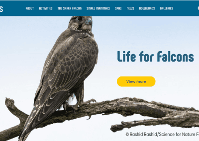 Уебсайтът на проекта – Save Raptors.org – е активен онлайн