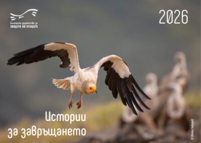 „Истории за завръщането“ е темата на календара на БДЗП за 2026 г.