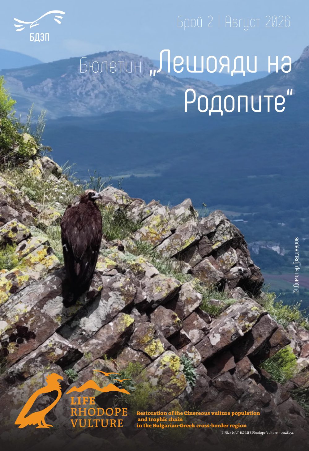 Ръководство