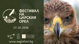 Фестивал на царския орел