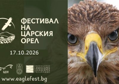 Фестивалът на царския орел в Тополовград – празник на природата, вкусовете, традициите и хората на Сакар
